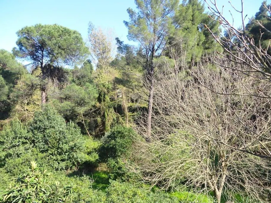 Spacious Villa Close To An Amazing Sithonia Beach Vourvourou 0*,
